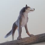  1:1 2021 3d_(artwork) ambiguous_gender canid canine canis digital_media_(artwork) feral fur hi_res log mammal purple_eyes realistic simple_background solo vonfluffington wolf wood 