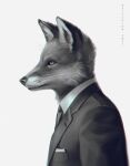 2021 anthro black_nose canid canine clothed clothing digital_media_(artwork) fox fur hi_res male mammal naiterion simple_background solo whiskers white_background 
