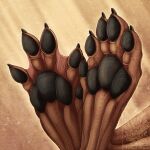  1:1 5_toes abstract_background anthro black_pawpads brown_body brown_skin claws detailed feet foot_focus lutrine male mammal membrane_(anatomy) mustelid otumeel pawpads small_claws toe_claws toes twilightsaint watermark webbed_feet 