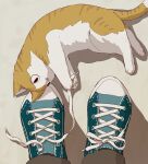  animal_focus aqua_footwear avogado6 brown_cat brown_pants cat commentary_request from_above looking_to_the_side lying on_floor on_side original out_of_frame pants pov shadow shoelaces shoes sneakers solo_focus untied untied_shoe untying white_cat 
