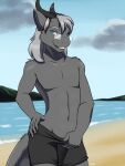  anthro askareth beach clothing dragon furball_(artist) male seaside solo swimwear 