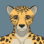  anthro black_body black_fur black_nose brown_eyes cheetah digital_media_(artwork) eyebrows felid feline front_view fur king_cheetah male mammal multicolored_body multicolored_fur natani_flutesong nataniflutesong portrait slim solo spots spotted_body spotted_fur yellow_body yellow_fur 