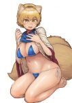  1girl :d absurdres animal_ears barefoot bikini blonde_hair blue_bikini blush breasts chanta_(ayatakaoisii) fox_ears fox_tail highres large_breasts long_sleeves looking_at_viewer micro_bikini multiple_tails navel open_mouth shirt shirt_lift short_hair side-tie_bikini simple_background sitting slit_pupils smile solo sweat swimsuit tail touhou wariza white_background white_shirt wide_sleeves yakumo_ran yellow_eyes 