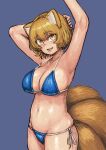  1girl :d absurdres animal_ears armpits bikini blonde_hair blue_background blue_bikini blush chanta_(ayatakaoisii) cowboy_shot eyebrows_visible_through_hair fox_ears fox_tail hand_up hands_above_head hands_up highres looking_at_viewer micro_bikini multiple_tails navel open_mouth side-tie_bikini simple_background slit_pupils smile solo standing swimsuit tail touhou yakumo_ran yellow_eyes 