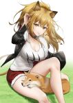  1girl animal_ears animal_on_lap arknights bangs black_choker black_jacket black_nails blonde_hair breasts candy choker commentary dog eyebrows_visible_through_hair food fur-trimmed_jacket fur_trim grass green_eyes hand_in_hair jacket knee_up large_breasts lion_ears lion_girl lion_tail lollipop long_hair long_sleeves looking_at_viewer messy_hair mouth_hold open_clothes open_jacket red_shorts ri_qing shiba_inu shirt shorts sidelocks siege_(arknights) sitting solo tail thighs white_shirt 