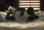  2021 anthro bed bedroom black_body black_fur black_nose detailed_background eyewear fur furniture giant_panda glasses humanoid_hands inside kemono male mammal overweight overweight_anthro overweight_male racoonwolf solo ursid white_body white_fur 