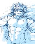  abs anthro blush duo felid haruki hi_res lying male mammal muscular muscular_anthro muscular_male nipples nomad_(tas) on_back pantherine pecs tiger tokyo_afterschool_summoners video_games 