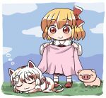  2girls :3 ^_^ animal_ears blonde_hair blue_sky border bow calico cat_ears closed_eyes closed_mouth cloud eyebrows_visible_through_hair goutokuji_mike grass hair_bow holding_blanket long_sleeves looking_at_another maneki-neko multicolored multicolored_clothes multicolored_hair multicolored_shirt multicolored_skirt multicolored_tail multiple_girls outdoors pig red_bow red_eyes red_footwear red_neckwear rokugou_daisuke rumia short_hair short_sleeves skirt sky sleeping smile standing streaked_hair tail touhou touhou_cannonball white_border white_hair white_legwear 