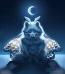  2021 black_nose canid canine detailed_background digital_media_(artwork) fox fur heyriel mammal moon night outside sky star starry_sky whiskers white_body white_fur wings 