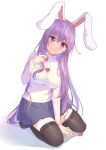  diving_penguin reisen_udongein_inaba tagme thighhighs touhou 