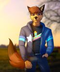  anthro black_ears black_tip_tail canid canine clothed clothing fox fully_clothed hand_in_pocket hi_res hoodie kobayashi-maruu male mammal multicolored_body pockets purple_eyes solo topwear 