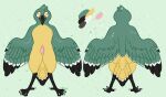  4_toes anthro avian bird black_body black_feathers feathers feet genitals green_body green_feathers hi_res male model_sheet nimbusjolteon penis phaen pink_penis tail_feathers talons tapering_penis toes white_body white_feathers yellow_belly_flycatcher yellow_body yellow_feathers 