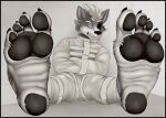  4_toes anthro barefoot bdsm black_border bondage border bound canid canine canis eye_patch eyewear feet foot_focus growling hi_res humanoid_feet jwolfsky male mammal nintendo paws plantigrade prisoner restrained restraints solo star_fox straitjacket submissive submissive_male toes video_games wolf wolf_o&#039;donnell 