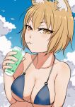  1girl animal_ear_fluff animal_ears bare_shoulders bikini blonde_hair breasts cleavage clip_studio_paint_(medium) cloud cloudy_sky collarbone cup day drinking fox_ears holding holding_cup large_breasts light_blush looking_at_viewer marsen no_hat no_headwear outdoors short_hair sky solo swimsuit touhou upper_body yakumo_ran 