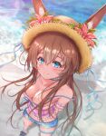  1girl amiya_(arknights) animal_ears arknights atychi bangs beach blue_eyes blush breasts brown_hair bunny_ears camisole cleavage eyebrows_visible_through_hair flower from_above hair_between_eyes hat hat_flower hat_ribbon long_hair looking_at_viewer ribbon sandals short_shorts shorts sleeveless solo standing 