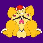  accessory anthro bowser cock_ring erection feet genitals hi_res jewelry koopa male mario_bros nintendo nipple_piercing nipple_ring nipples penis penis_accessory penis_jewelry piercing reptile ring scalie smile solo turtle video_games wolfbuns 