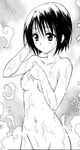  haruna_sairenji tagme to_love-ru 