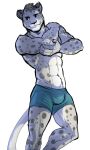  anthro bulge clothing felid fur grey_body grey_fur male mammal mtraon muscular muscular_anthro muscular_male pantherine snow_leopard solo spots spotted_body spotted_fur underwear 