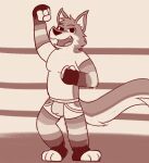  anthro armwear black_nose canid canine clothed clothing destona digital_media_(artwork) fidget_the_fox fighting_ring fox fur hair hi_res jockstrap legwear looking_at_viewer male mammal simple_background sketch smile solo underwear wrestling 