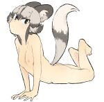  1girl african_wild_dog_(kemono_friends) animal_ear_fluff animal_ears arm_support ass bangs barefoot black_eyes black_hair breasts closed_mouth completely_nude dog_ears dog_girl dog_tail extra_ears eyebrows_visible_through_hair feet_up full_body grey_hair hair_between_eyes highres igarashi_(nogiheta) kemono_friends looking_at_viewer medium_hair multicolored_hair nipples nude outstretched_arms petite simple_background small_breasts solo stomach tail toes tsurime two-tone_hair white_background 