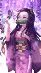  butterfly kamado_nezuko pastel pink purple 