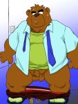  2020 3:4 anthro balls belly bodily_fluids brown_body brown_fur clothing edit erection fur genitals kemono male mammal necktie overweight overweight_anthro overweight_male penis shibatanukiti shirt small_penis solo sweat topwear uncensored ursid 