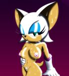  rouge_the_bat sega sonic_team tagme v13 