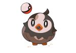  bird black_eyes commentary_request full_body gen_4_pokemon no_humans poke_ball poke_ball_(basic) pokemon pokemon_(creature) shadow shuu_(ssyuu721) simple_background starly white_background 