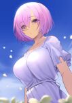  1girl :o absurdres bangs blue_sky breasts dress eyebrows_visible_through_hair fate/grand_order fate_(series) field flower flower_field highres looking_at_viewer lordol mash_kyrielight puffy_short_sleeves puffy_sleeves purple_eyes purple_hair shiny shiny_hair short_hair short_sleeves sky solo 