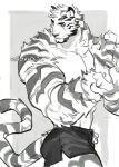  1boy animal_ears arknights bara black_shorts black_tank_top chain_necklace dolphin_shorts fluffy from_side furry large_pectorals looking_back male_focus mountain_(arknights) muscular muscular_male onion_holic pants pectorals scar scar_across_eye shirtless short_hair short_shorts shorts solo tail tank_top thighs tiger_boy tiger_ears tiger_tail white_fur white_hair white_pants 
