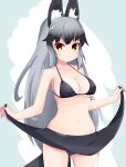  1girl :/ animal_ear_fluff animal_ears berusa_(berutoo) bikini blush breasts clothes_lift commentary_request fox_ears fox_tail grey_background grey_hair highres kemono_friends large_breasts lifted_by_self long_hair looking_at_viewer navel orange_eyes silver_fox_(kemono_friends) simple_background skirt skirt_lift solo swimsuit tail very_long_hair 