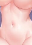  1girl breasts close-up cyicheng emilia_(re:zero) groin large_breasts long_hair navel out-of-frame_censoring re:zero_kara_hajimeru_isekai_seikatsu solo stomach underboob upper_body 