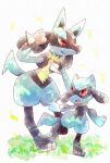  :d commentary_request gen_4_pokemon grass hand_up lucario neejyu open_mouth pokemon pokemon_(creature) red_eyes riolu smile spikes standing toes tongue yellow_fur 