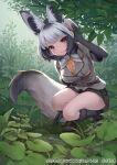  1girl animal_ear_fluff animal_ears bat-eared_fox_(kemono_friends) black_gloves blush breasts brown_eyes commentary_request extra_ears fox_ears fox_tail full_body gloves grey_hair kemono_friends large_breasts light_smile looking_at_viewer multicolored_hair ne-on official_art open_mouth outdoors rain short_hair silver_hair solo squatting streaked_hair tail watermark 