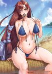  1girl arm_support bangs bare_shoulders beach bikini bikini_in_mouth bikini_pull bird blue_bikini blue_sky breasts brown_hair cleavage clothes_pull cloud gonster heterochromia highres large_breasts last_origin long_hair looking_at_viewer navel sand shore side-tie_bikini sitting sky swimsuit t-8w_valkyrie tied_hair tree_trunk underboob untied untied_bikini very_long_hair water 