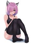  1girl absurdres animal_ears ayul_(ayulneri_92) bangs black_legwear black_swimsuit blush breasts cat_ears fate/grand_order fate_(series) hair_over_one_eye highres knees_up large_breasts light_purple_hair looking_at_viewer mash_kyrielight one-piece_swimsuit open_mouth purple_eyes short_hair simple_background solo swimsuit thighhighs wet white_background 