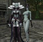  dark_elf lineage lineage_ii tagme 