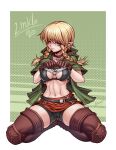  bike_shorts bra cameltoe cleavage genderswap hyrule_warriors karosu_maker link pantsu pointy_ears shirt_lift skirt_lift the_legend_of_zelda thighhighs undressing 