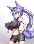  animal_ears bike_shorts cameltoe erect_nipples indigo kitsune no_bra tail tylwing 