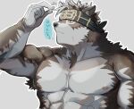  1boy abs ainu animal_ears bara be_(2368230) chest_hair completely_nude furry grabbing grey_fur grey_hair headband highres horkeu_kamui_(tokyo_houkago_summoners) large_pectorals male_focus muscular muscular_male nipples nude pectorals pelvic_curtain scar scar_on_cheek scar_on_face short_hair silver_hair solo stomach tail tokyo_houkago_summoners translation_request upper_body white_fur wolf_boy wolf_ears wolf_tail yellow_eyes 