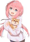  1girl :d absurdres animal bangs blue_collar blue_eyes collar dog eyebrows_visible_through_hair eyes_visible_through_hair file112056 hair_between_eyes hair_ribbon highres holding holding_animal holding_dog hood hood_down hoodie kagamihara_nadeshiko light_blush long_hair long_sleeves looking_at_viewer low_twintails open_mouth pink_hair ribbon shadow shiba_inu sidelocks simple_background smile solo standing tongue tongue_out twintails white_background white_hoodie yurucamp 
