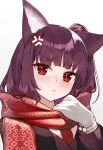  1girl animal_ears bangs blunt_bangs blush closed_mouth enpera eyebrows_visible_through_hair fox_ears girls&#039;_frontline gloves hand_up highres hoshi_usagi looking_at_viewer purple_hair red_eyes red_scarf scarf simple_background solo wa2000_(girls_frontline) white_background 