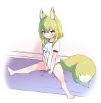  1girl ahoge animal_ear_fluff animal_ears barefoot blue_eyes blush buruma done_(donezumi) feet fox_ears fox_girl fox_tail green_hair gym_uniform highres legs original red_buruma shirt shirt_tug short_hair short_sleeves sitting solo spread_legs tail thighs toes white_shirt 