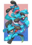  absurdres border collar commentary_request fang gen_4_pokemon gradient gradient_background hand_up highres no_humans nullma open_mouth outside_border pokemon pokemon_(creature) purple_eyes red_eyes riolu signature tongue white_border 