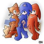  battle_angel knuckles_the_echidna sega sonic_team sonic_the_hedgehog tails 