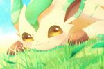  alopias blush brown_eyes character_name closed_mouth commentary dated day gen_4_pokemon grass leafeon leaves_in_wind looking_at_viewer no_humans outdoors paws pokemon pokemon_(creature) smile solo toes 