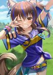  1girl \m/ animal_ears arm_up banned_artist belt belt_buckle blue_hair blue_shirt blue_shorts blurry blurry_background blush breasts brown_eyes brown_hair buckle commentary_request daitaku_helios_(umamusume) day depth_of_field grin highres horse_ears horse_girl horse_tail looking_at_viewer medium_hair multicolored_hair navel one_eye_closed outdoors racetrack shirt short_shorts short_sleeves shorts small_breasts smile solo streaked_hair tail tied_shirt umamusume wide_sleeves yellow_belt yuuka_nonoko 