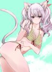  1girl animal_ears bikini blue_eyes blue_sky breasts cat_ears cat_tail cleavage cloud commentary_request front-tie_top kantai_collection kashima_(kancolle) leaning_forward looking_at_viewer medium_breasts side-tie_bikini sidelocks silver_hair sky solo standing striped striped_bikini swimsuit tail twintails wavy_hair yellow_bikini yumesato_makura 