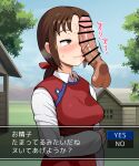  1girl bar_censor blue_sky blush bow censored closed_mouth copyright_request day disembodied_penis dress fake_screenshot gameplay_mechanics hair_bow highres long_sleeves low_ponytail noumiso outdoors penis penis_on_face ponytail red_bow red_dress shirt sky smile sweat white_shirt 