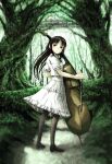  1girl black_hair dress forest instrument long_hair looking_back nature original skirt source_request thighhighs violin white_dress yoneda_taishou 